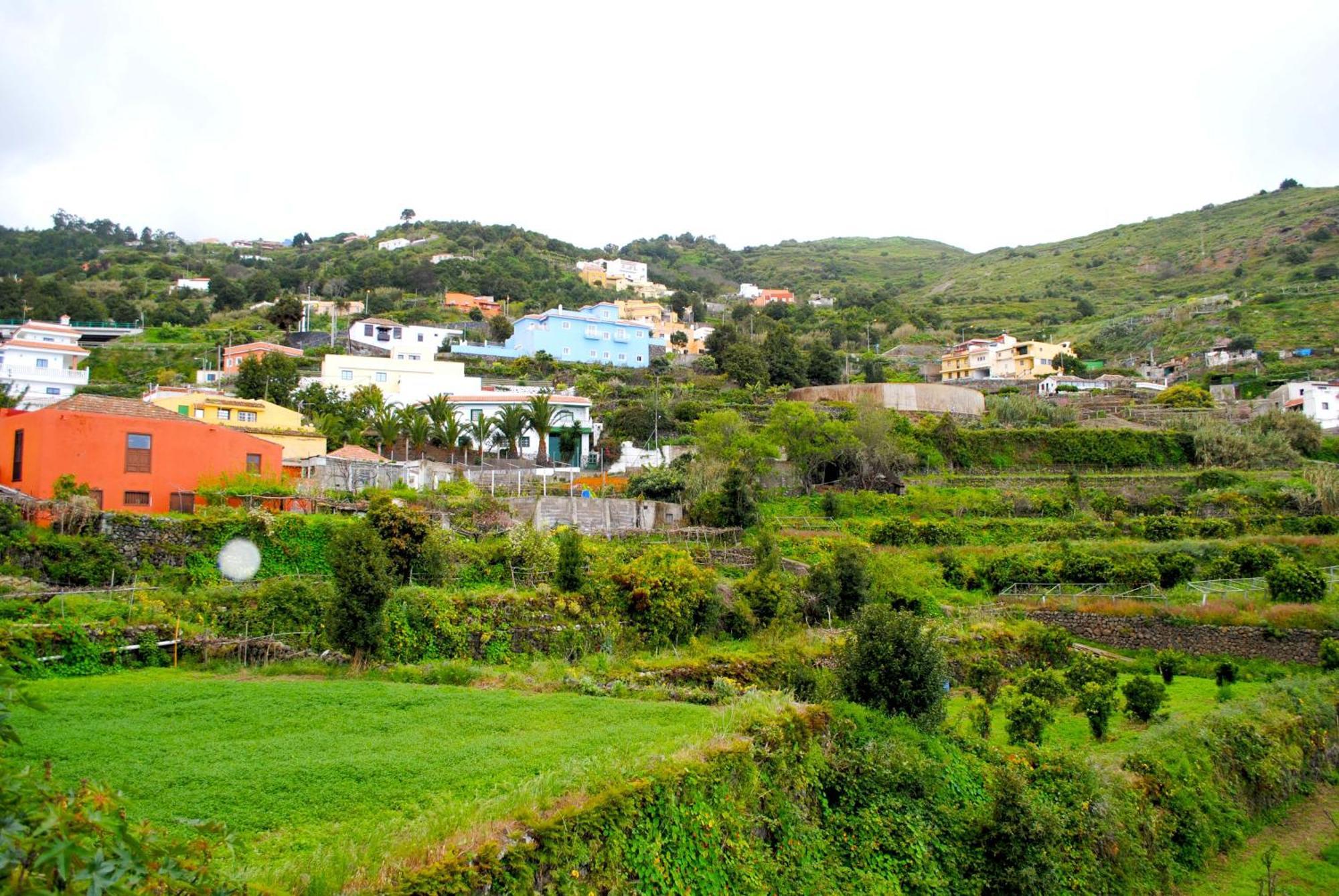 Cozy House Casa De Los Abuelos In Icod De Los Vinos By Hrtenerife Net ภายนอก รูปภาพ