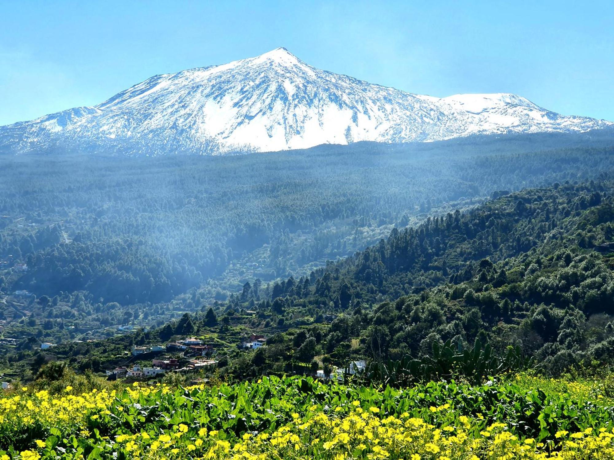 Cozy House Casa De Los Abuelos In Icod De Los Vinos By Hrtenerife Net ภายนอก รูปภาพ
