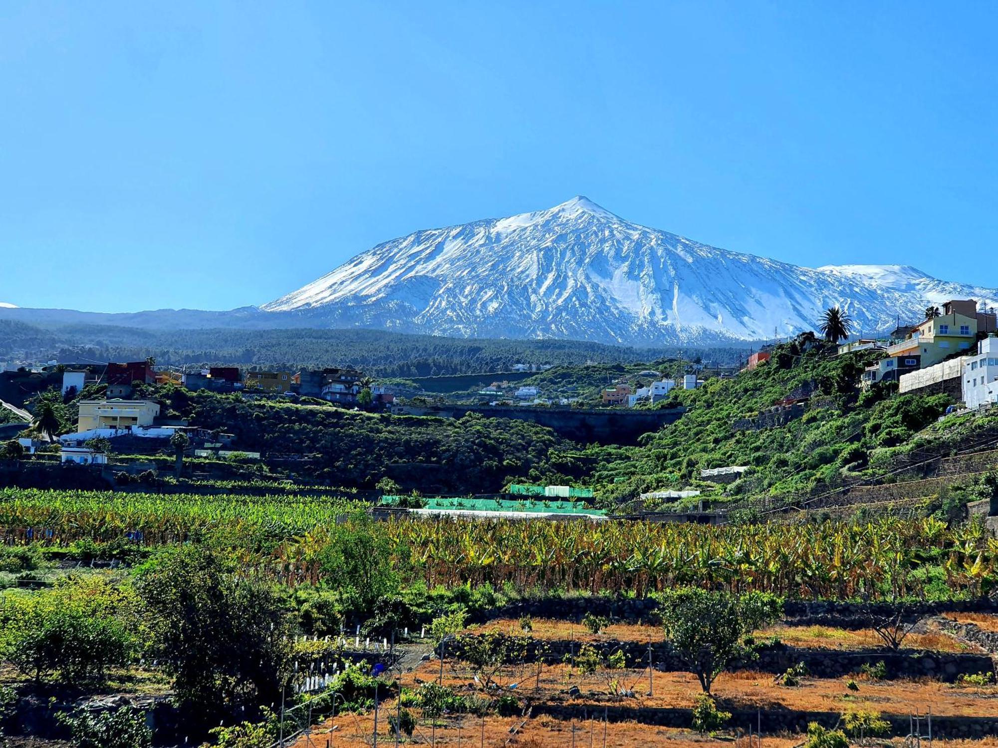 Cozy House Casa De Los Abuelos In Icod De Los Vinos By Hrtenerife Net ภายนอก รูปภาพ